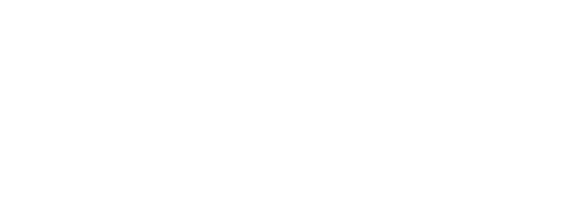 FZ_Logo_Poziome_Biale-przezroczyste